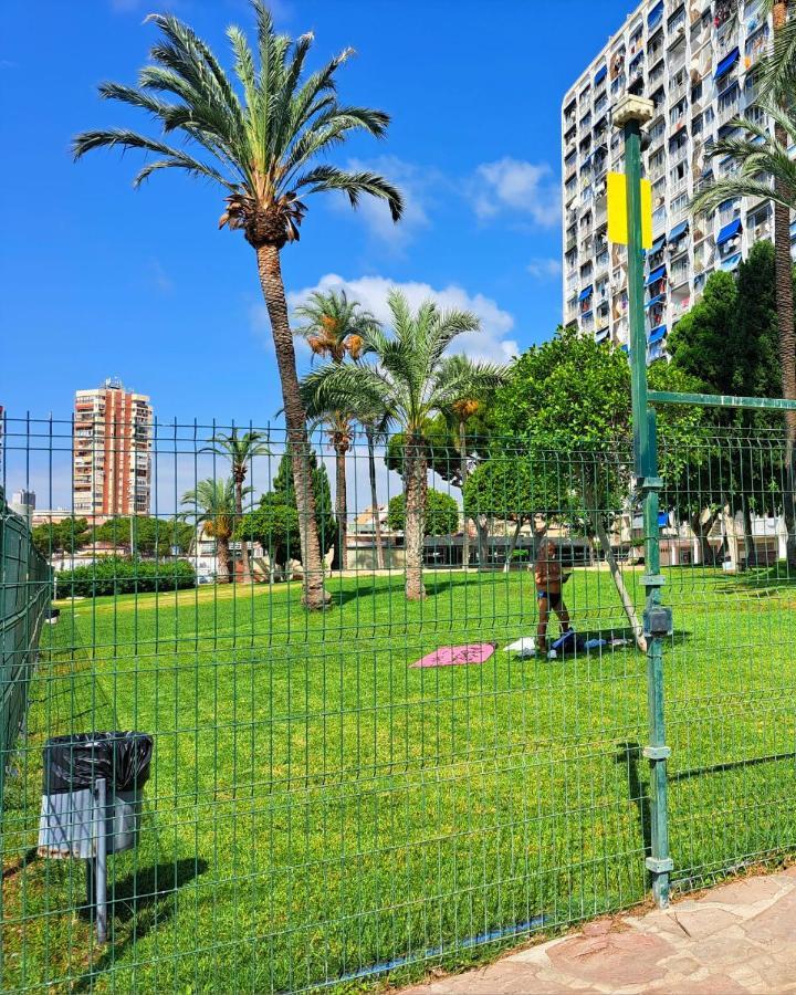 Comfortable Studio With Sea View Apartment Benidorm Bagian luar foto
